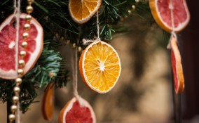 come essiccare arance, come seccare arance, arance essiccate