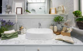 piante da mettere in bagno, piante bagno