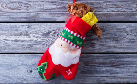 calza befana particolare, calza befana originale, calza befana fai da te