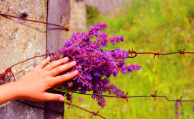 giornata memoria poesie, giornata memoria