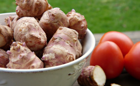 topinambur, forno, padella