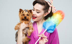 pulizie, casa, animali