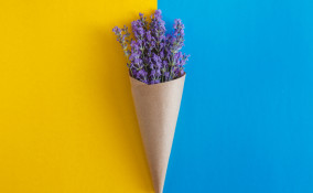 festa mamma cono fiori