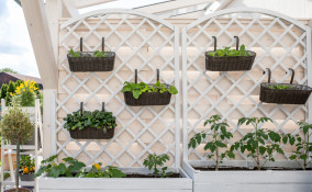 orto verticale balcone, orto balcone, orto verticale balcone come realizzare