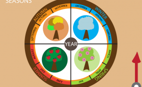 stagioni spiegazione bambini