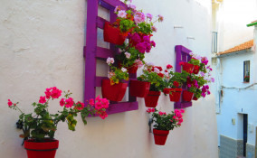 fioriera verticale pallet, fioriera verticale fai da te