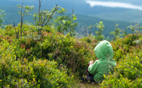 montagna vacanze bambini
