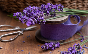 bomboniere, matrimonio, provenzale