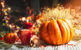 vetrine autunnali, vetrine autunnali idee, vetrine autunno