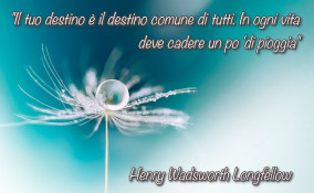 immagini, frasi, vita