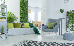 arredare, interno, piante