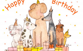 biglietti, auguri, animali