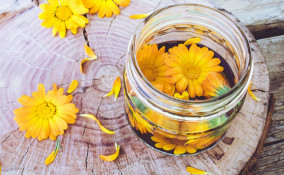 calendula, proprietà, salute
