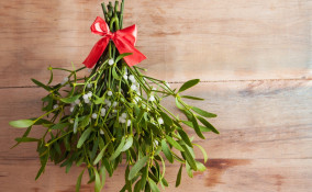 bacio, vischio, significato