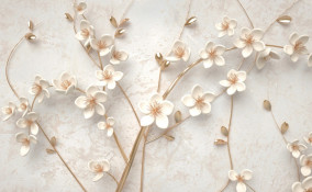 sfondi, temi, whatsapp