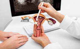 Controllo post partum