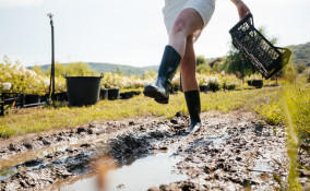 come togliere fango giardino, fango giardino