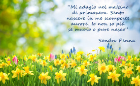 equinozio primavera immagini frasi, equinozio primavera immagini, equinozio primavera frasi