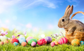 sfondi videochiamate pasqua, sfondi videocall