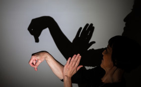 come fare ombre cinesi con mani, come fare ombre cinesi