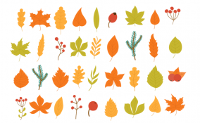 memory fai da te foglie