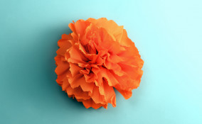 decori primavera fiori