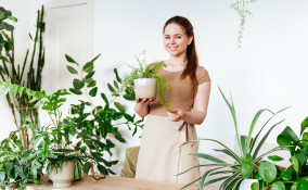 come non fare seccare le piante quando si parte per le vacanze, curare le piante, curare piante quando si è in vacanze