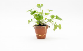 come riparare vaso terracotta, come aggiustare vaso terracotta