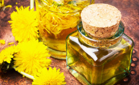 olio tarassaco fai da te