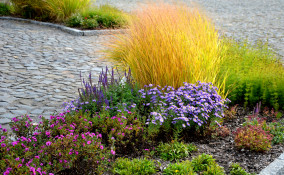 piante autunnali da esterno, piante autunno da esterno