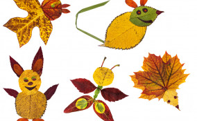 creare animali foglie