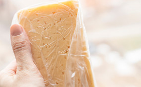 formaggi lactose free