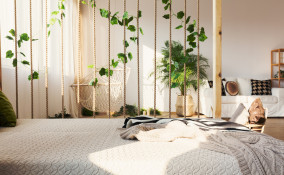 Stanza con divisore con le piante