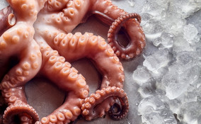 polpo congelato, come cucinarlo, metodi