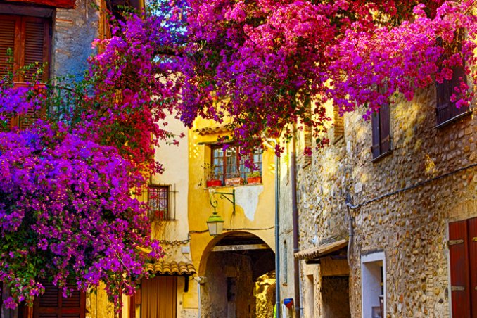 Provenza Francia campagna vacanze viaggi