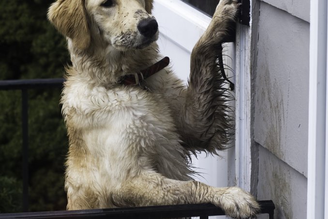 porte maniglie ottone plastica sporco polvere macchie 