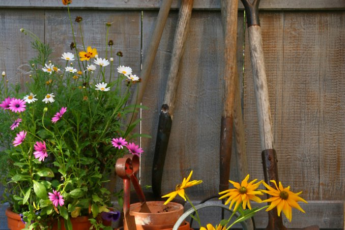 piante-attrezzatura-giardino