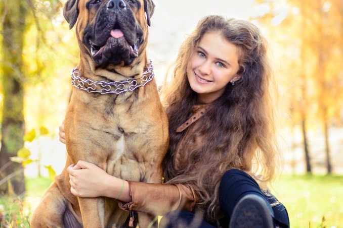 amici, cani, quattro, zampe