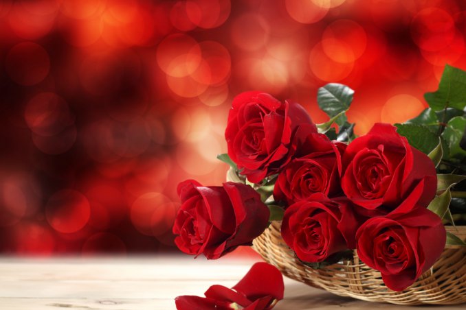 rosa fiore sogno interpretazione