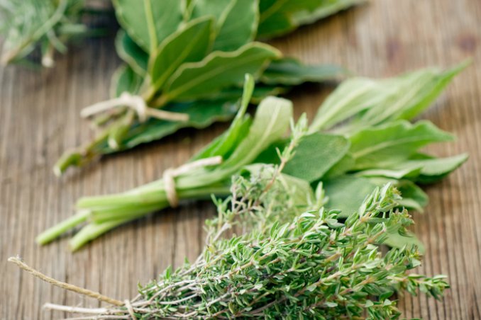 erbe spezie utilizzo consigli cucina 