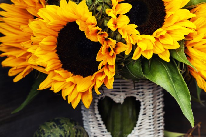 decoupage, hobby, fai da te, carta, fiori, girasole