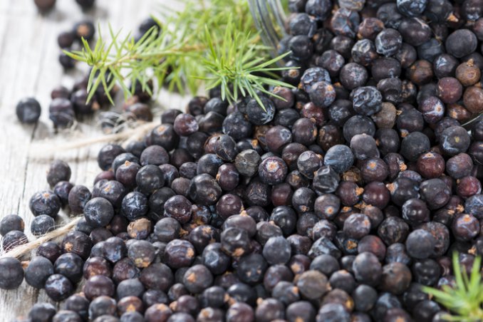 erboristeria pianta rustica