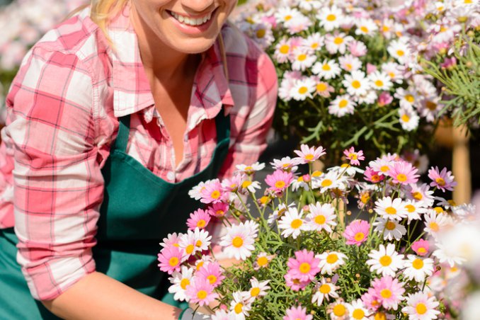 grembiule, decoupage, decoupage su tessuto, hobby, fai da te