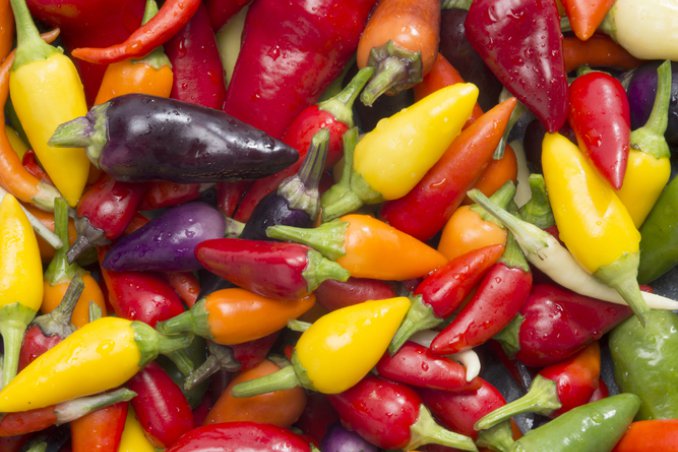 peperoncino conservazione utilizzo consigli varietà