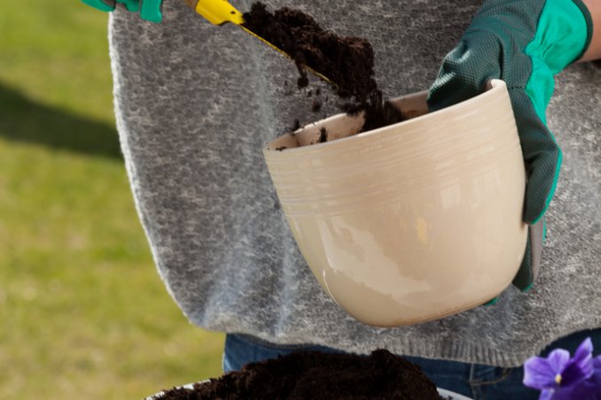 rinvaso-giardino-vaso