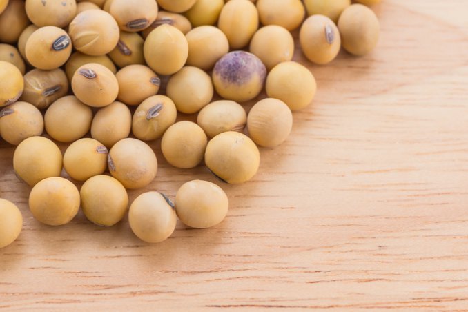 soia alimento legume proteine benefici salute consigli