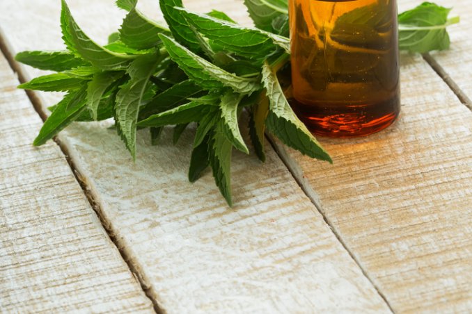 menta proprietà salute infusi cucina