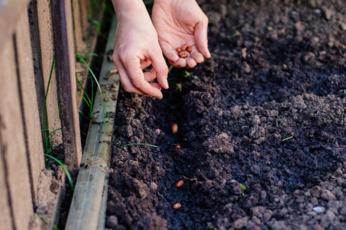 orto-primavera-consigli