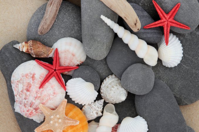 decoupage,  hobby, fai da te, ciottoli, sassi, conchiglie