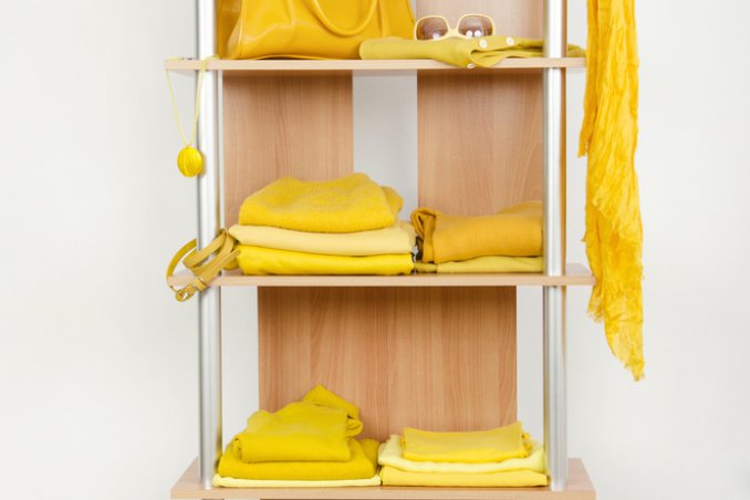 estate, giallo, mimosa